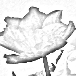 Pencil Sketch 019